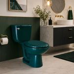 Sanitario de Dos Piezas Cerámico Ecoline con Descarga Eficiente de Manija Color Verde