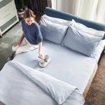 Aspiradora Portátil Removedora de Ácaros con Luz UV-C y Sistema de Filtrado Color Blanco