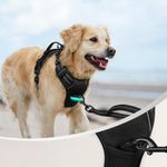 Arnés de Seguridad Ajustable para Perro Talla L Pecho 65-80 cm Tipo Chaleco Acolchado Negro