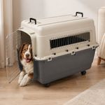 Transportadora de Plástico con Ruedas para Mascota Tamaño No. 5