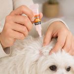 Pipeta Antipulgas, Piojos y Garrapatas para Perros desde 1 a 10 kg de 0.67 mL