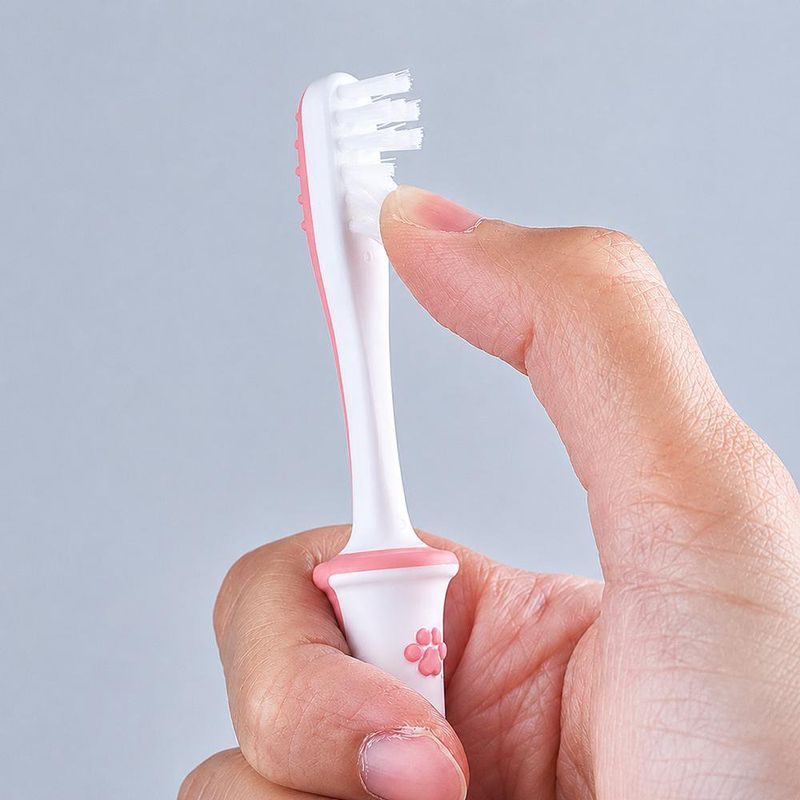 Cepillo Dental de Entrenamiento Paso 4 Rosa 18+ Meses
