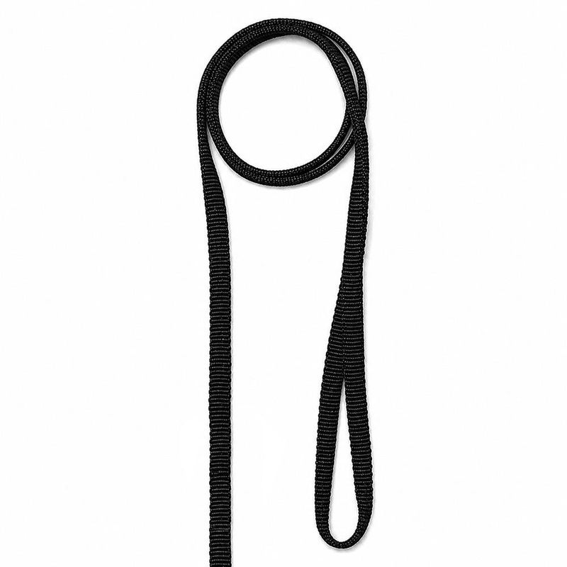 Correa para Perro de Nylon Negro 1.21 Metros x 1 Cm con Gancho Niquelado