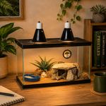 Kit Desértico Básico para Reptiles con Terrario de 51.44 cm 10 Gal