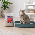 Arena para Gato Clean de 3 Kg