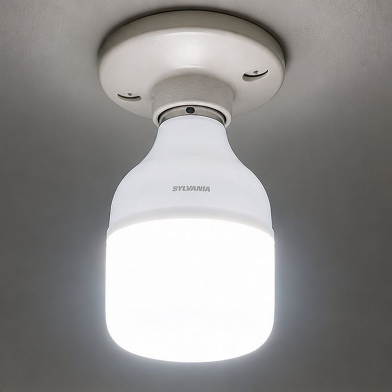 Bombilla LED de Emergencia Alta Potencia 30W con Base E27 Luz de Día 6500 K