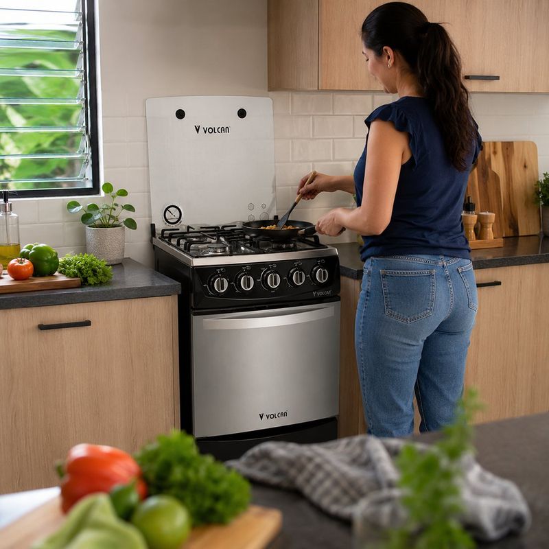 Estufa a Gas de 20 plg con 4 Quemadores de Acero Inoxidable