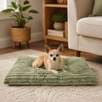 Cojín para Perro de Poliéster 30 x 19 Cm con Centro Hundido Color Verde