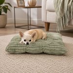 Cojín para Perro de Poliéster 30 x 19 Cm con Centro Hundido Color Verde
