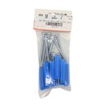 Kit de Tornillos para Lámina #10 x 2 Plg con Tarugos 10 Unidades