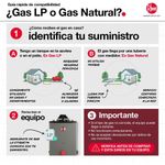 Calentador de Agua Instantáneo de Paso a Gas 16 Litros/min con Encendido Electrónico Blanco