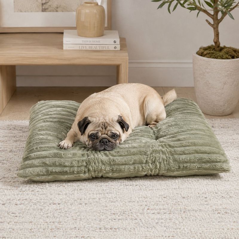 Cojín para Perro de Poliéster 36 x 24 Cm con Centro Hundido Color Verde