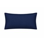 Sobrefunda de Almohada King Espinha de 50 x 90 Cm en Color Azul