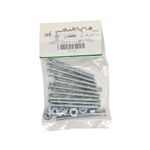 Tornillos Tipo Estufa Galvanizados 5/32 x 2 Plg con Tuerca 10 Unidades