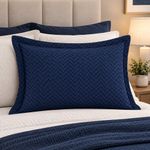 Sobrefunda de Almohada Espinha de 50 x 70 Cm en Color Azul