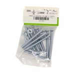 Tornillos Tipo Estufa Galvanizados 3/16 x 2 Plg con Tuerca 10 Unidades
