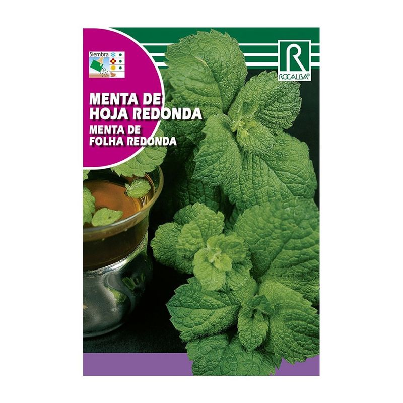 Semillas de Menta de Hoja Redonda para Siembra y Cultivo