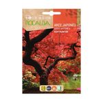 Semilla de Arce Japonés