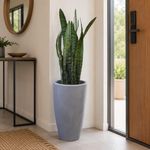 Maceta Verona Tall Color Cemento Antiguo 30x53 cm