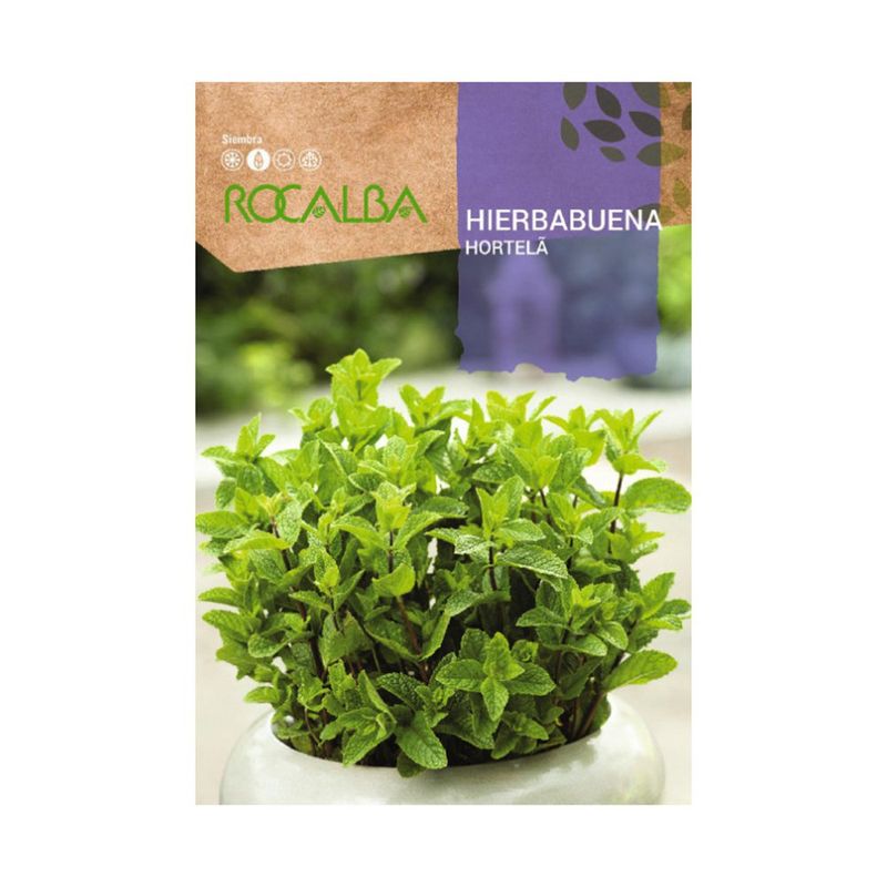 Semillas de Hierbabuena para Siembra y Cultivo