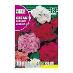 Semillas de Geranio Híbrido F2 Multicolor para Siembra y Cultivo