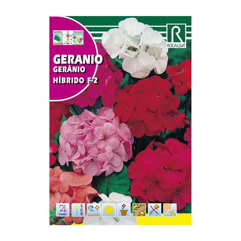 Semillas de Geranio Híbrido F2 Multicolor para Siembra y Cultivo