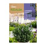 Semilla de Lavanda en Bolsa para Siembra