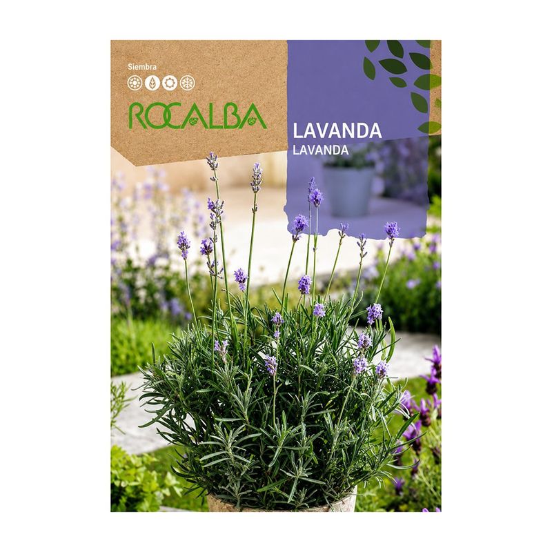 Semilla de Lavanda en Bolsa para Siembra