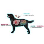Antiparasitario Simparica Trio 24 mg para Perros de 10 a 20 kg 3 Tabletas