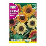 Semillas de Girasol Beauté d’Automne Multicolor para Siembra y Cultivo Ornamental