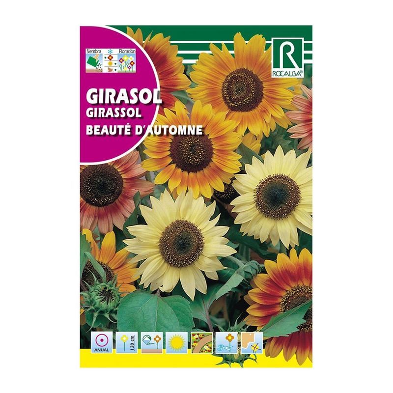 Semillas de Girasol Beauté d’Automne Multicolor para Siembra y Cultivo Ornamental