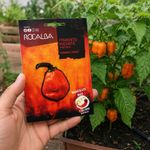Semillas de Pimiento Picante Habanero Orange para Siembra y Cultivo