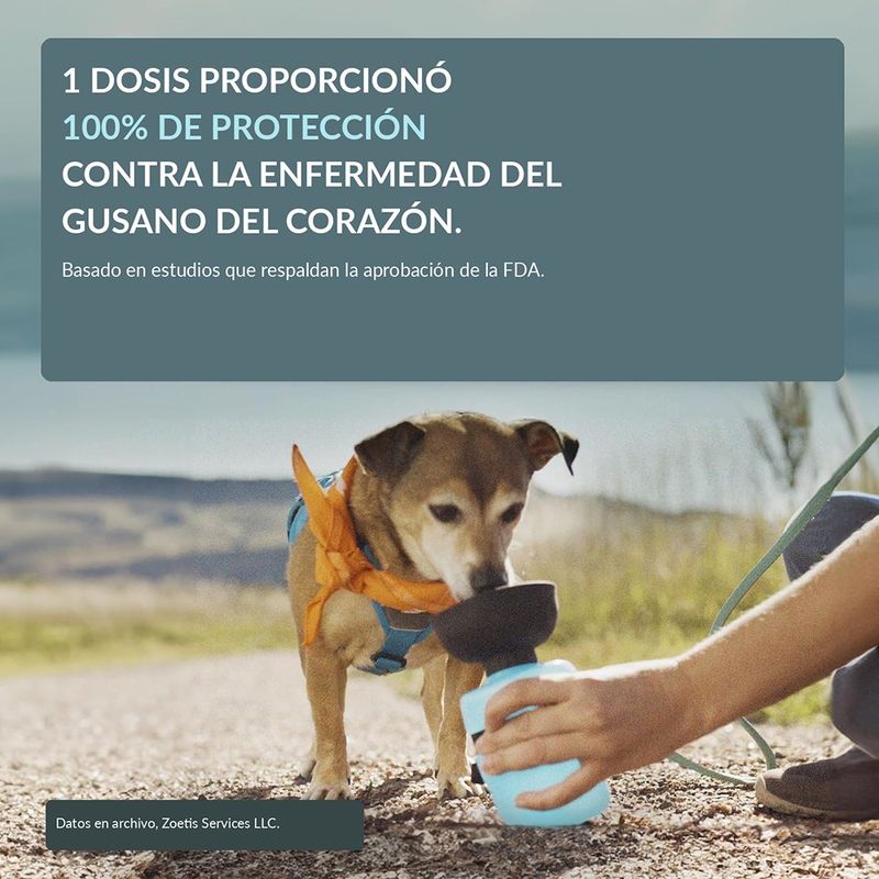 Antiparasitario Simparica 40 mg para Perros de 10 a 20 Kg 3 Tabletas