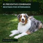 Antiparasitario Simparica 40 mg para Perros de 10 a 20 Kg 3 Tabletas
