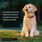 Antiparasitario Simparica 40 mg para Perros de 10 a 20 Kg 3 Tabletas
