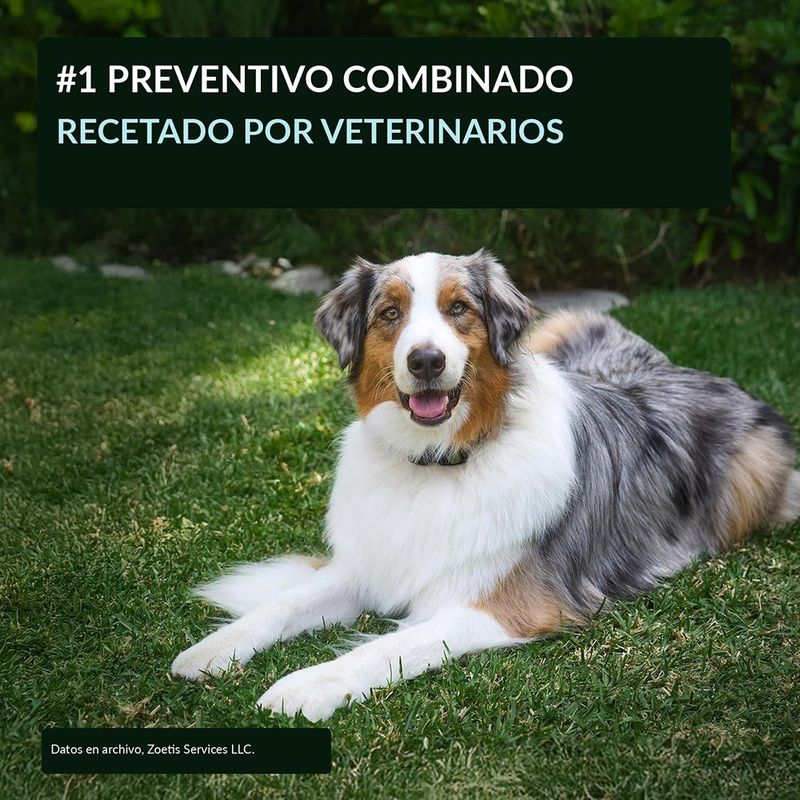 Antiparasitario Simparica 80 mg para Perros de 20 a 40 kg 3 Tabletas