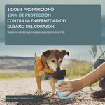 Antiparasitario Simparica 80 mg para Perros de 20 a 40 kg 3 Tabletas