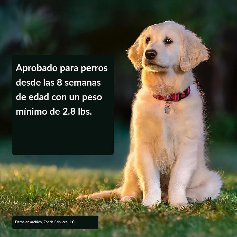 Antiparasitario Simparica 80 mg para Perros de 20 a 40 kg 3 Tabletas