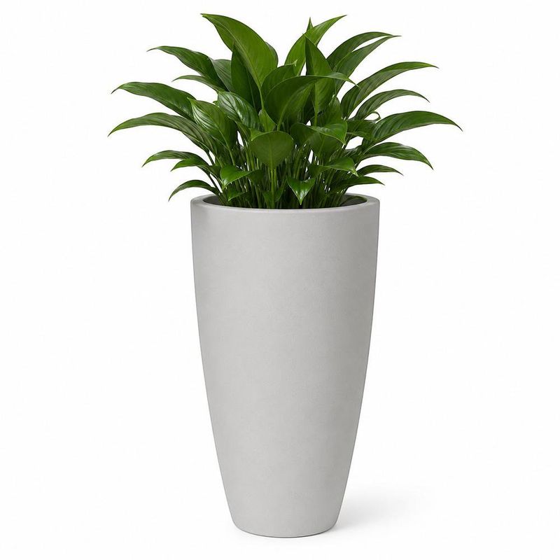 Maceta Decorativa de Plástico Circular Alta y Moderna Blanco 30 x 53 Cm