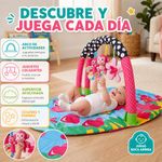 Gimnasio para Bebé con Arco de Juguetes Extraíble Fantasy Color Rosado