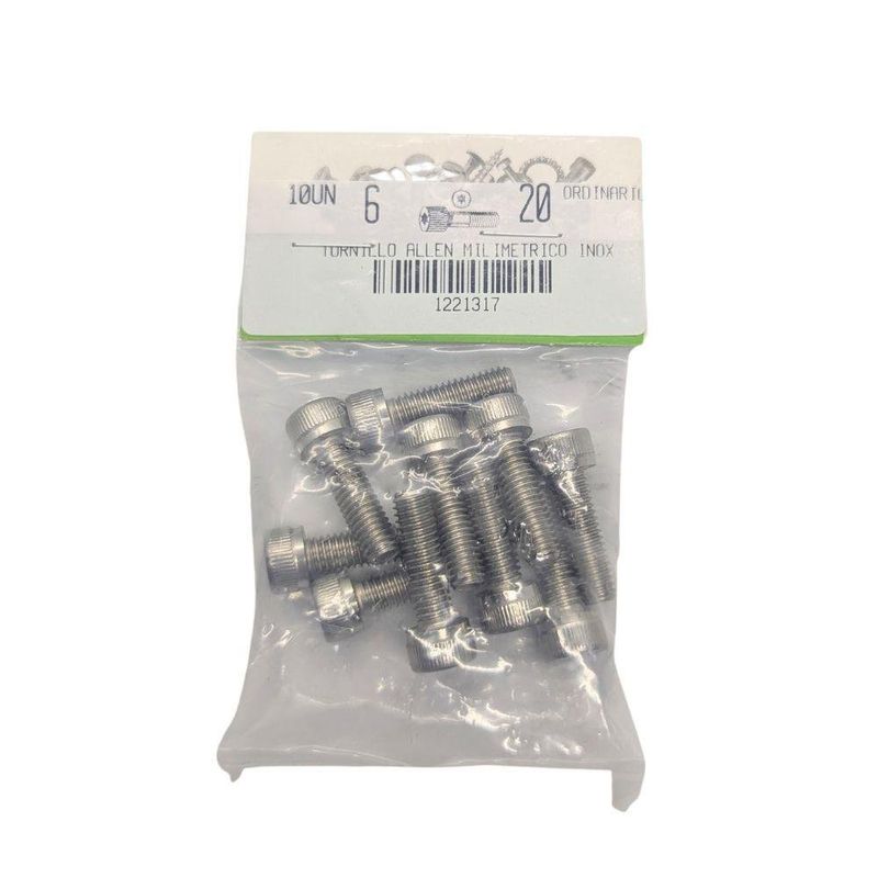 Tornillos Allen de Acero Inoxidable M6 x 20 mm en Bolsa de 10 Unidades