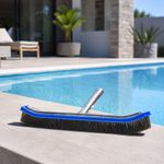 Cepillo de Acero para Piscina con Mango Adaptable 18 Plg para Limpieza Profunda