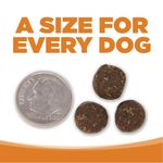 Concentrado para Perro con Cordero y Arroz, Salud Digestiva y del Corazón Bolsa de 26 Libras