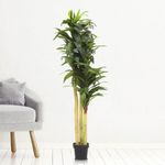 Planta Decorativa Artificial