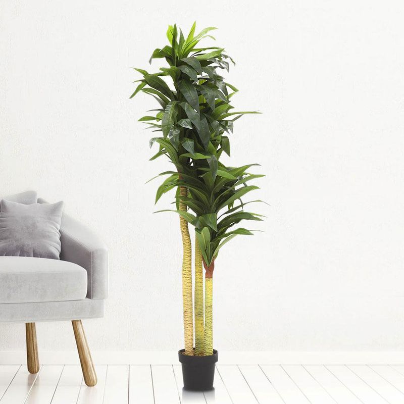 Planta Decorativa Artificial