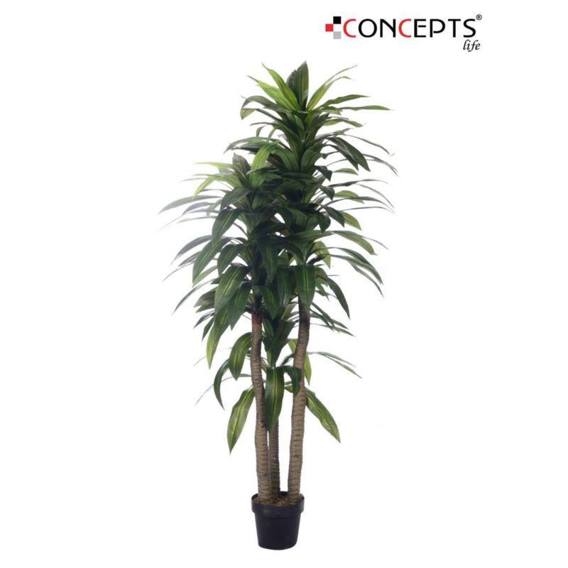 Planta Artificial 180 Cm - Concepts