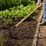 Azadón Jardinero con Mango de Madera de 48 Plg para Deshierbe Doméstico