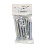 Tornillo Hexagonal Galvanizado de 5/16 x 2 Plg en Bolsa de 10 Unidades