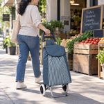 Carro para Compras con Bolsa de Rayas y 2 Ruedas Azul