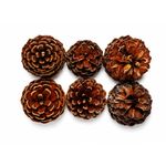 Piñas Decorativas Navideñas Colgantes con Brillo Café